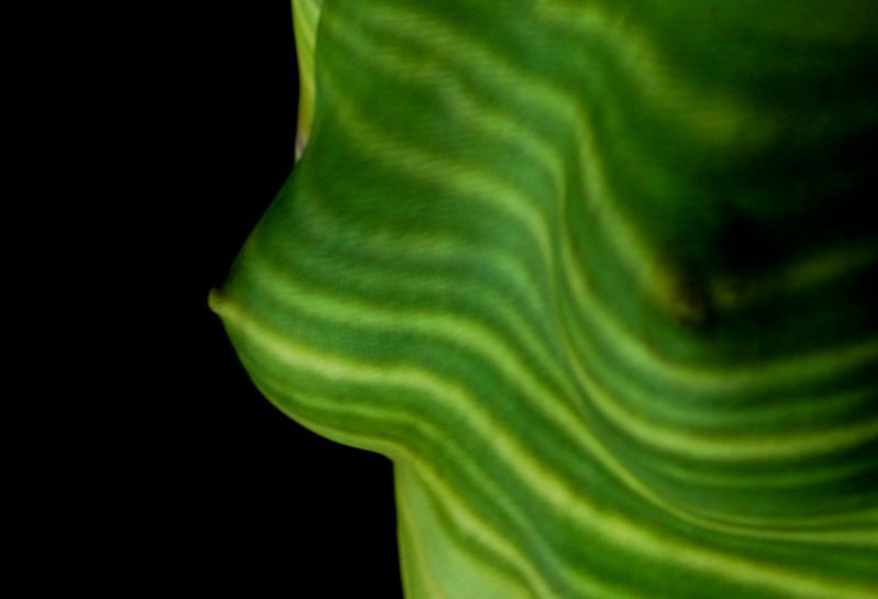 nil